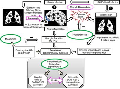 Neuroprotective Drug Discovery From Phytochemicals and Metabolites for CNS Viral Infection: A Systems Biology Approach With Clinical and Imaging Validation